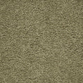 Mohawk Flooring Pleasant Touch