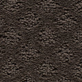 Mohawk Flooring Classic Style