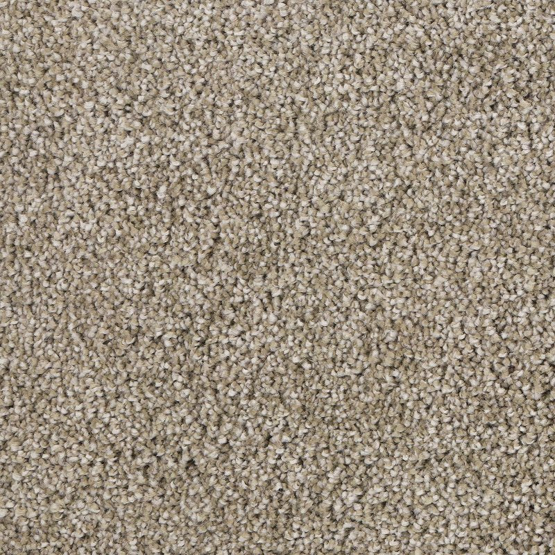 Mohawk Flooring Delicate Tones I