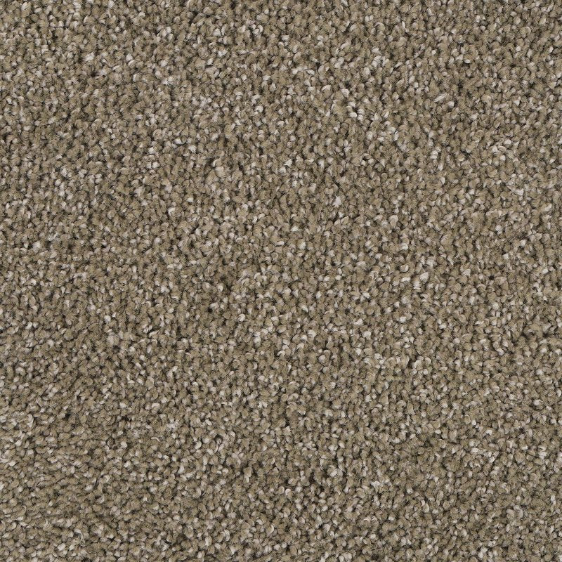Mohawk Flooring Delicate Tones I