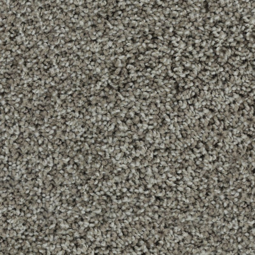 Karastan Bold Finish