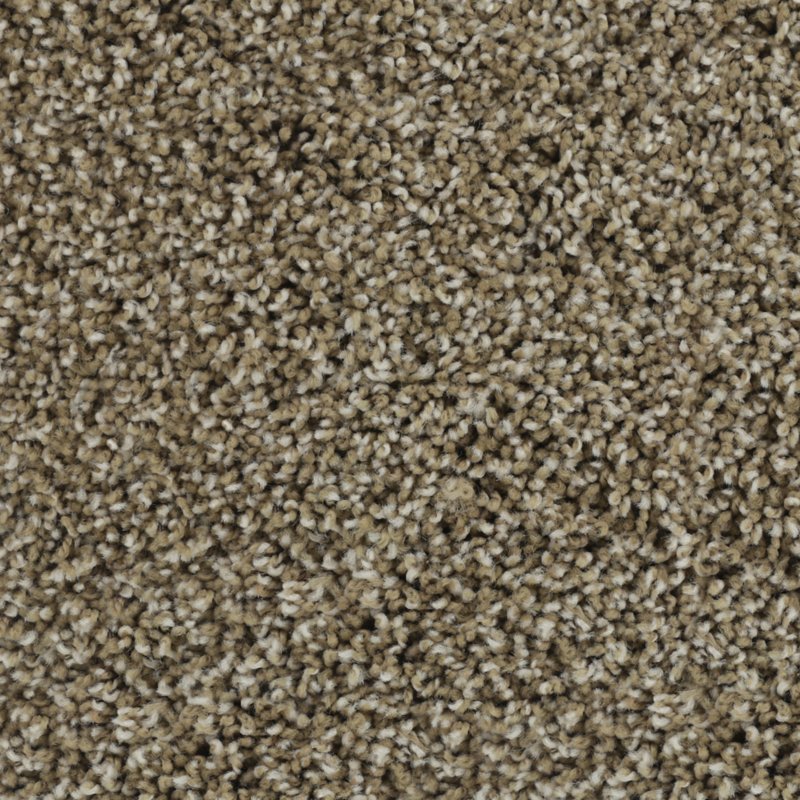 Karastan Bold Finish