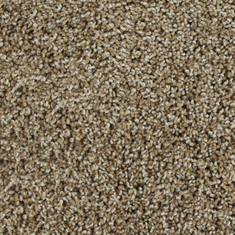 Karastan Bold Finish