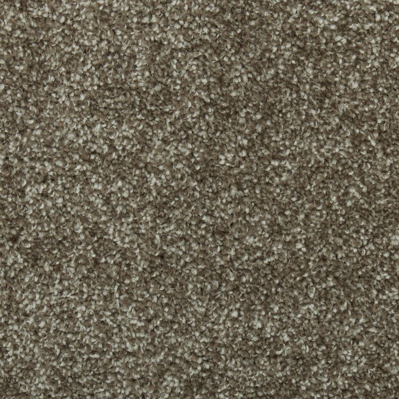 Mohawk Flooring Colorful Blend III