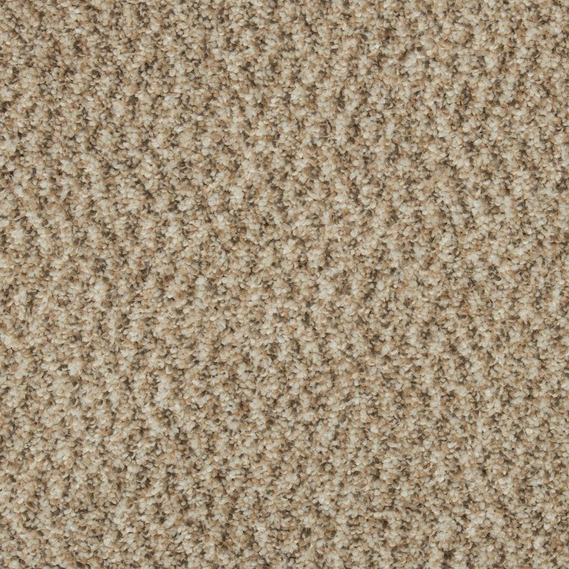 Mohawk Flooring Colorful Blend I
