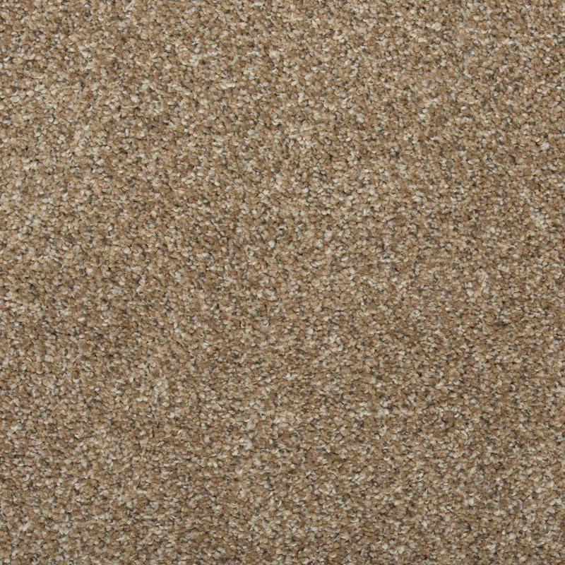Mohawk Flooring Colorful Blend I