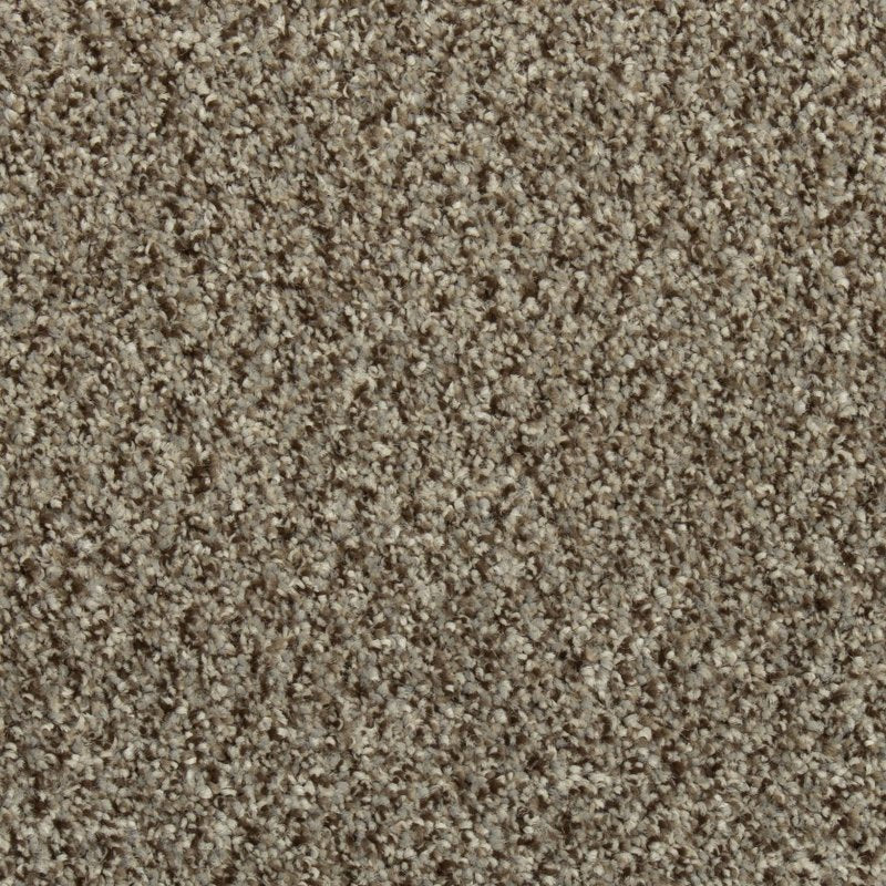 Mohawk Flooring Colorful Blend I