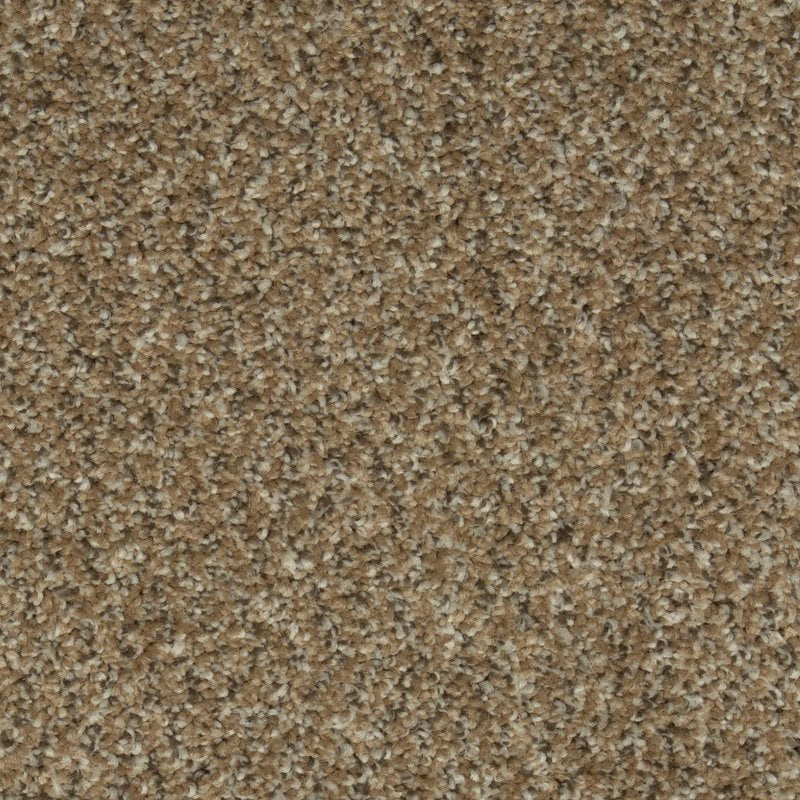 Mohawk Flooring Colorful Blend II