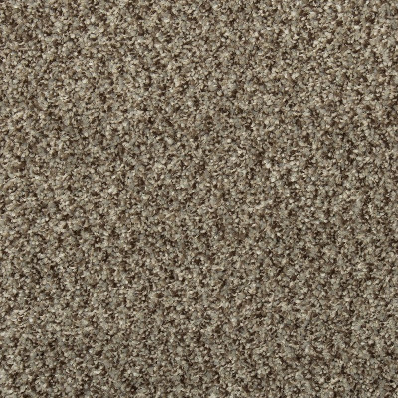 Mohawk Flooring Colorful Blend II