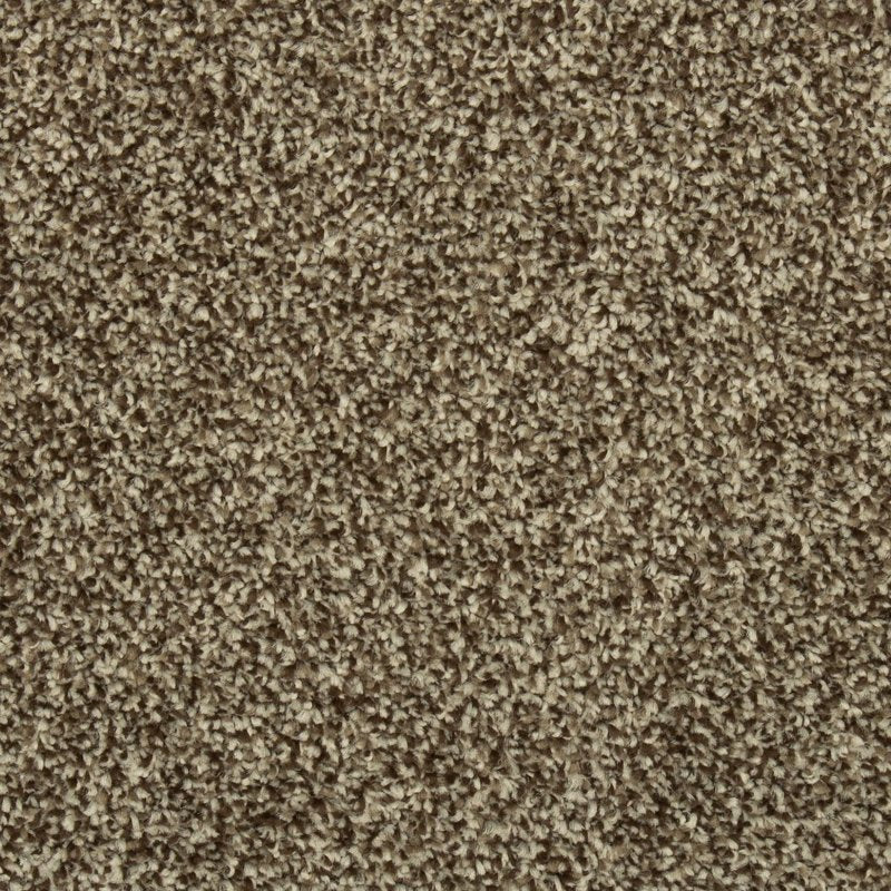 Mohawk Flooring Colorful Blend II