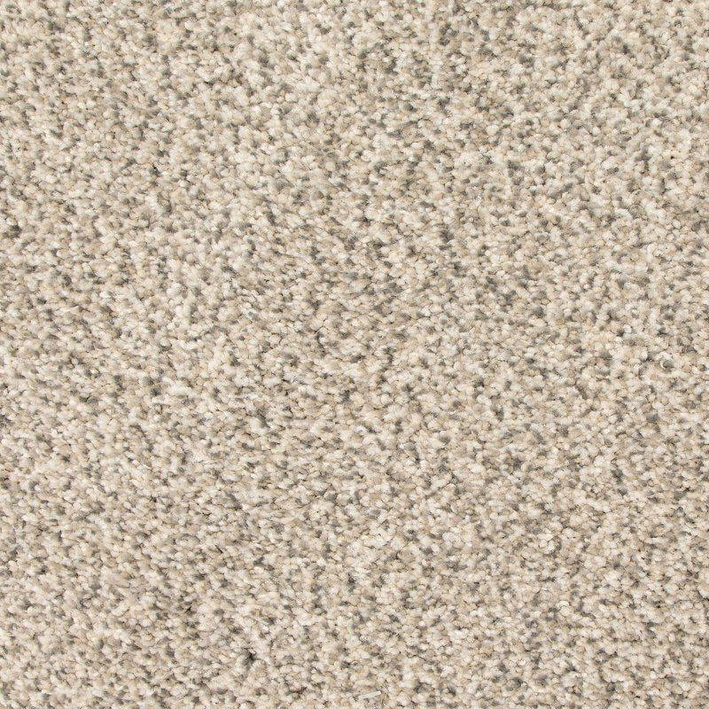 Mohawk Flooring Colorful Blend II