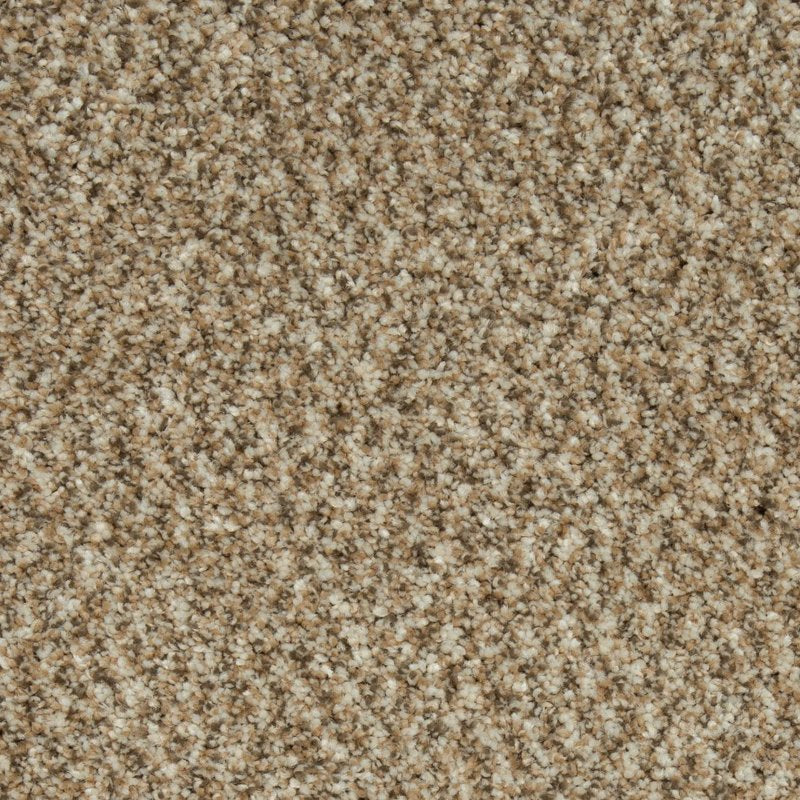 Mohawk Flooring Colorful Blend III