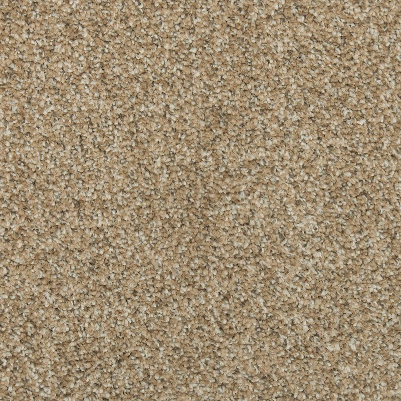 Mohawk Flooring Colorful Blend III