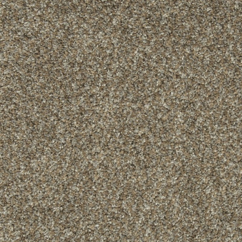 Mohawk Flooring Colorful Blend III