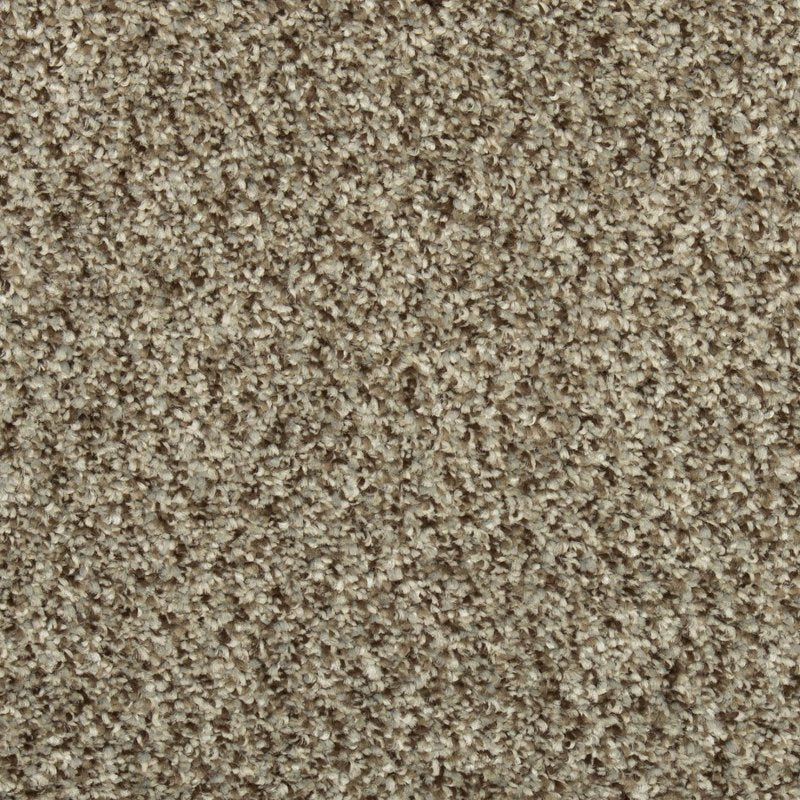 Mohawk Flooring Colorful Blend III
