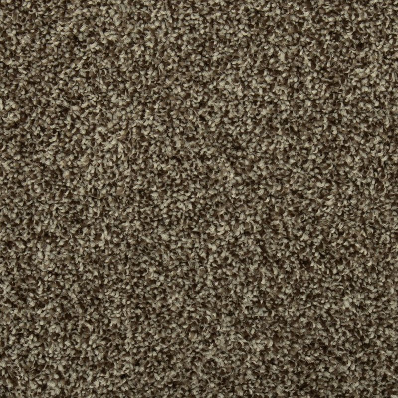 Mohawk Flooring Colorful Blend III