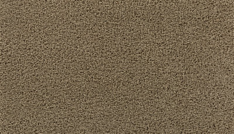Mohawk Flooring Thoughtful Charm