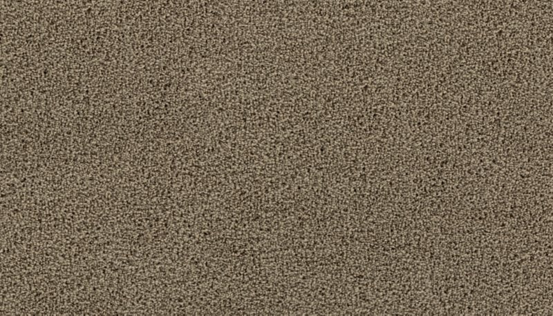 Mohawk Flooring Thoughtful Charm
