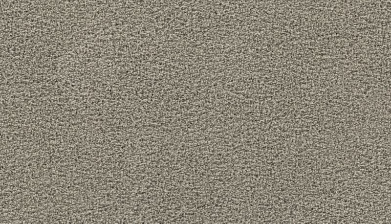 Mohawk Flooring Thoughtful Charm