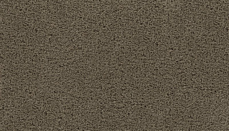 Mohawk Flooring Thoughtful Charm