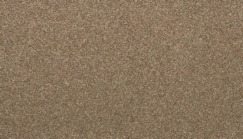 Mohawk Flooring Zestful Traits I