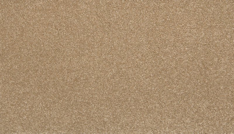Mohawk Flooring Zestful Traits II