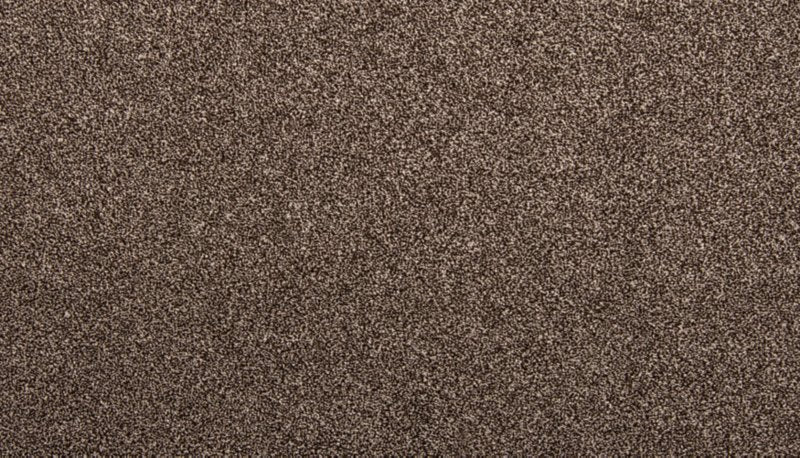 Mohawk Flooring Zestful Traits II