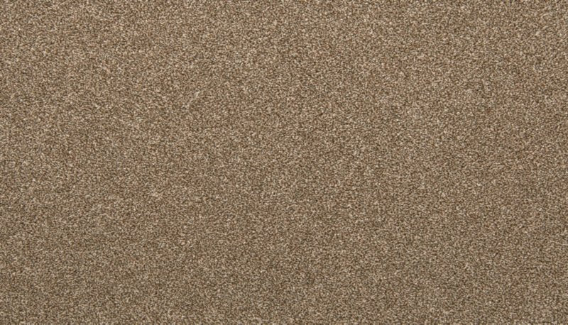 Mohawk Flooring Dynamic Quality II
