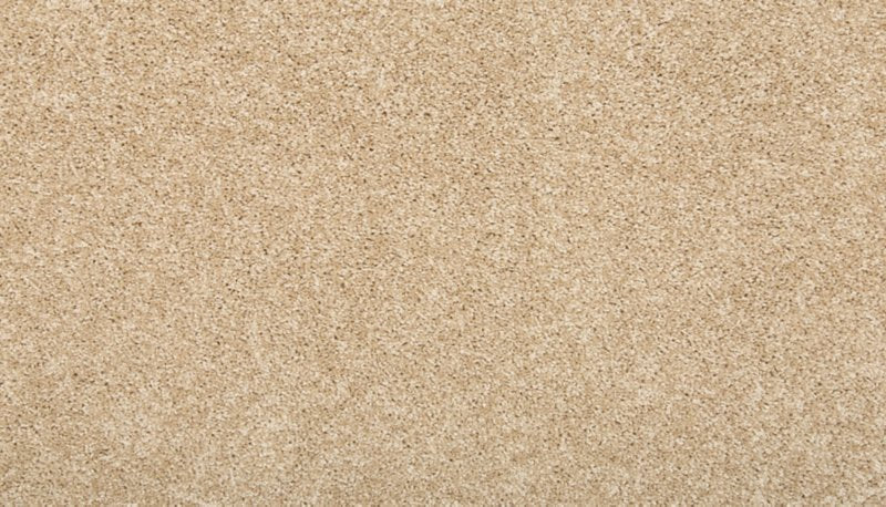 Mohawk Flooring Vitalize II