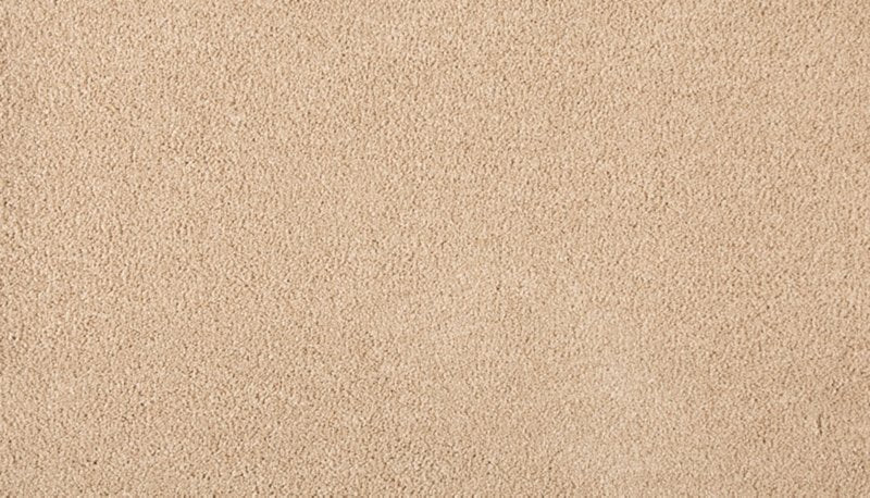 Mohawk Flooring Delightful Saga III