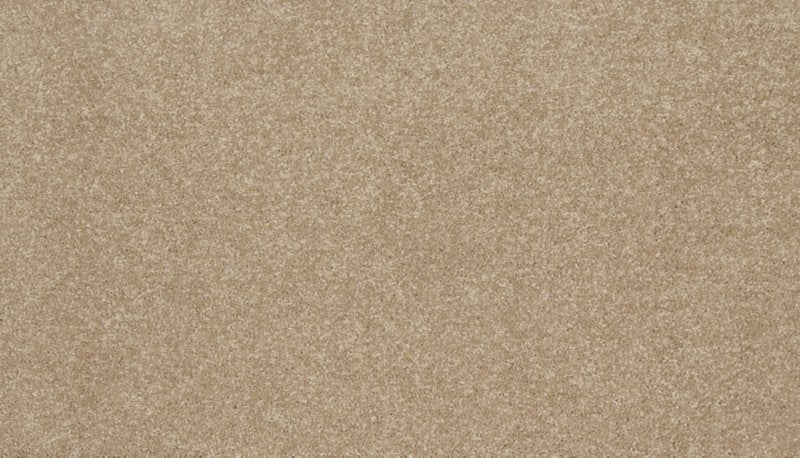 Mohawk Flooring Delightful Saga III
