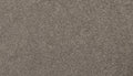 Mohawk Flooring Delightful Saga III