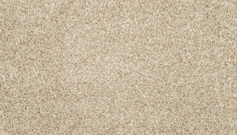 Mohawk Flooring Furocious I