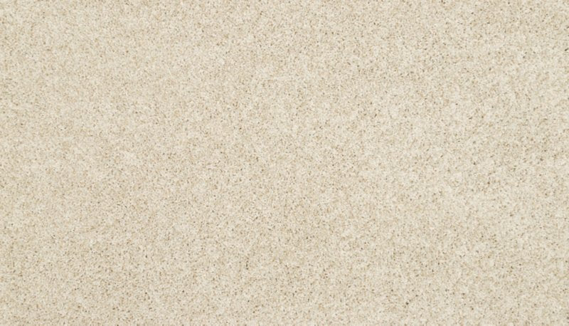 Mohawk Flooring Furocious I