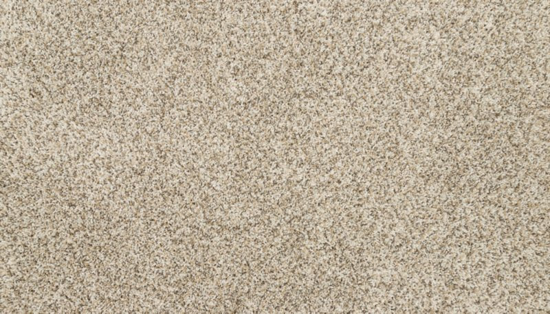 Mohawk Flooring Furocious I