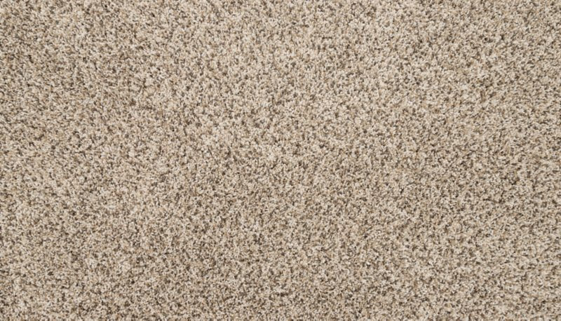 Mohawk Flooring Furocious I