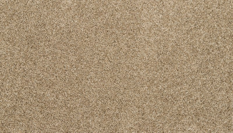 Mohawk Flooring Furocious I