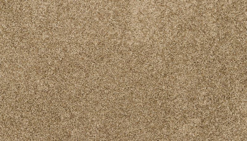 Mohawk Flooring Furocious I