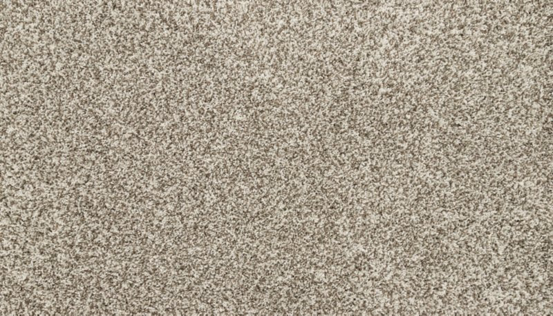 Mohawk Flooring Furocious I