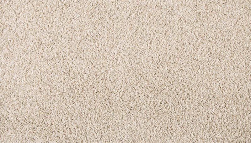 Mohawk Flooring Furocious II