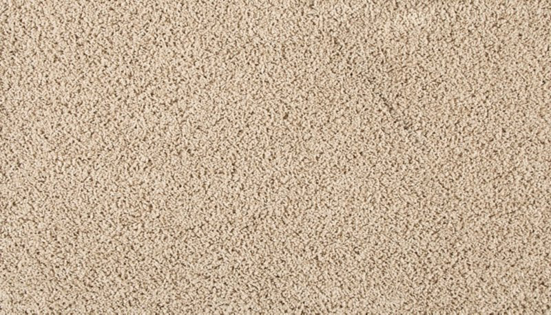 Mohawk Flooring Furocious II