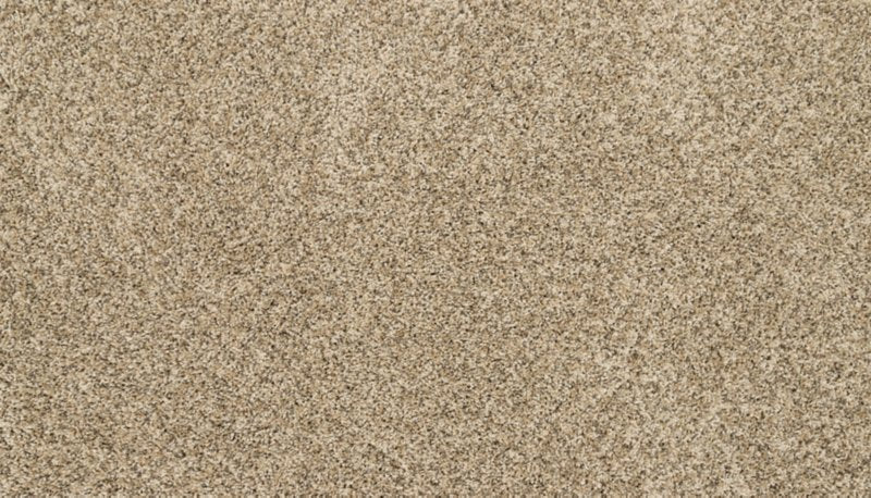 Mohawk Flooring Furocious II