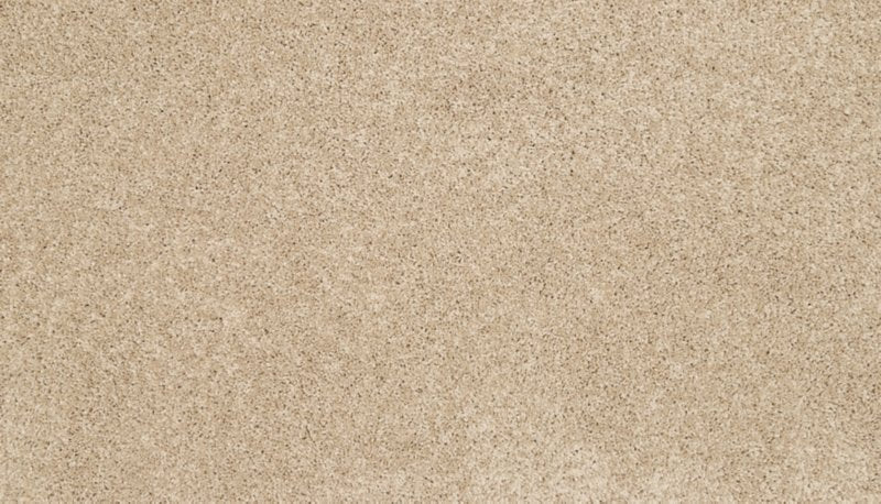 Mohawk Flooring Claws And Effect I