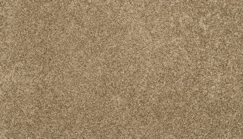 Mohawk Flooring Claws And Effect I