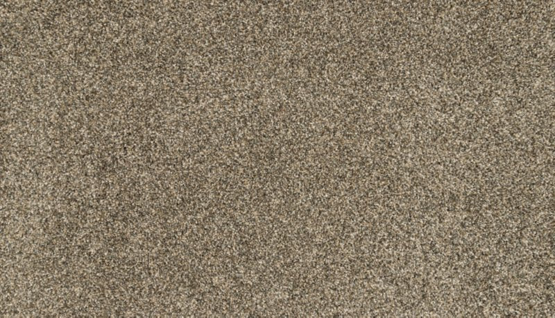Mohawk Flooring Bon A Pet Treat I