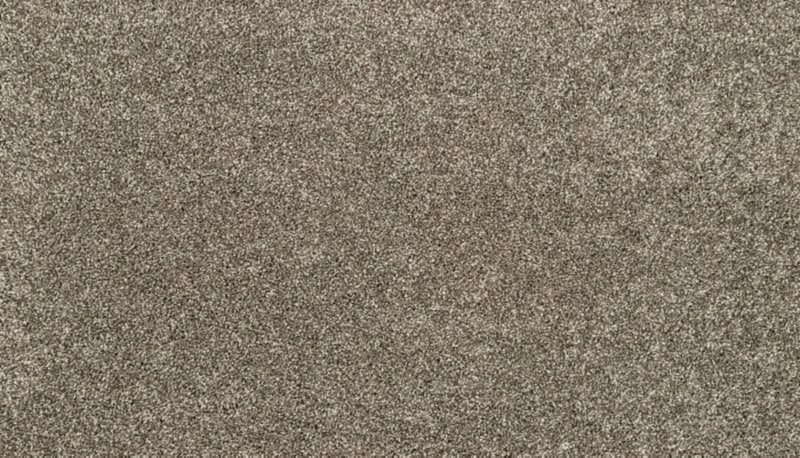 Mohawk Flooring Claws And Effect I