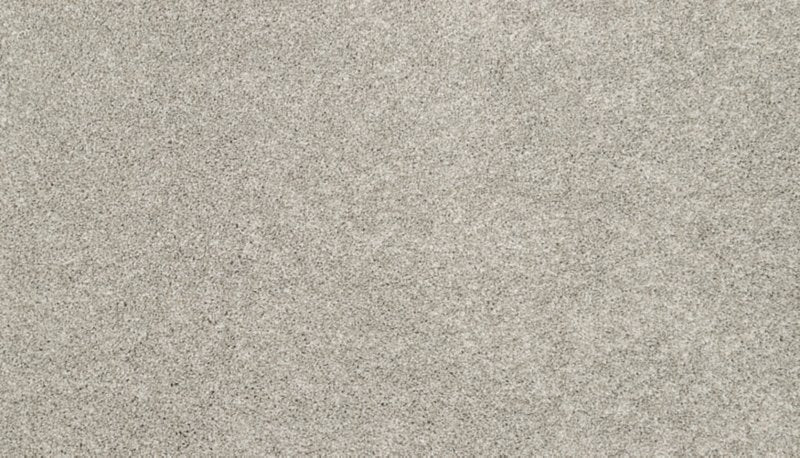 Mohawk Flooring Bon A Pet Treat II