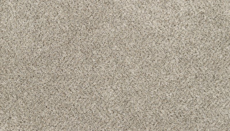 Mohawk Flooring Bon A Pet Treat II