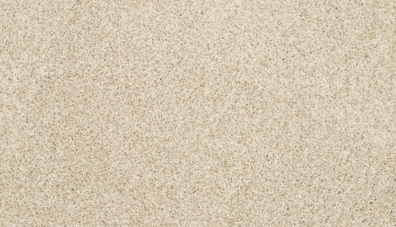 Mohawk Flooring Raise The Woof I
