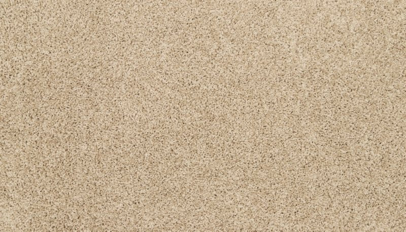Mohawk Flooring Raise The Woof I